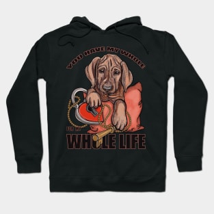 You have my whole for my whole life Hoodie